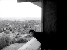 Load image into Gallery viewer, Dimanche (Edmond Bernhard, 1963)