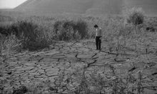 Load image into Gallery viewer, From the Branches Drops the Withered Blossom (Paul Meyer, 1960)