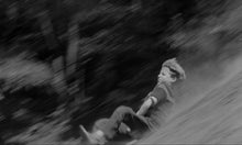 Load image into Gallery viewer, From the Branches Drops the Withered Blossom (Paul Meyer, 1960)