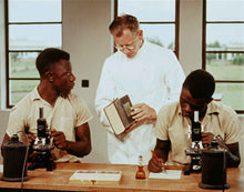 Load image into Gallery viewer, Belgian Congo