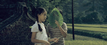 Load image into Gallery viewer, The Green, Green Grass of Home (Hou Hsiao-hsien,1982)
