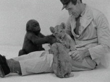 Load image into Gallery viewer, Zoology