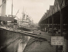 Load image into Gallery viewer, Docks & Dockers. The Belgian Seaports 1900-1970
