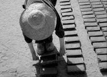 Load image into Gallery viewer, From the Branches Drops the Withered Blossom (Paul Meyer, 1960)