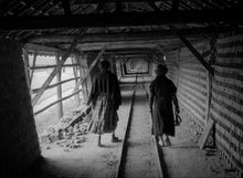 Load image into Gallery viewer, From the Branches Drops the Withered Blossom (Paul Meyer, 1960)