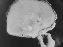 Load image into Gallery viewer, Avant-Garde 1927-1937. Surrealism and experiment in Belgian Cinema