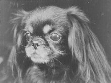 Load image into Gallery viewer, Avant-Garde 1927-1937. Surrealism and experiment in Belgian Cinema