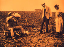 Load image into Gallery viewer, Agricultures