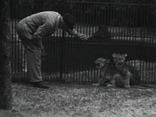 Load image into Gallery viewer, Zoology