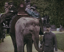 Charger l&#39;image dans la galerie, In den dierentuin van Antwerpen [ca. 1910]
